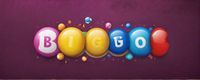 bingo plus update